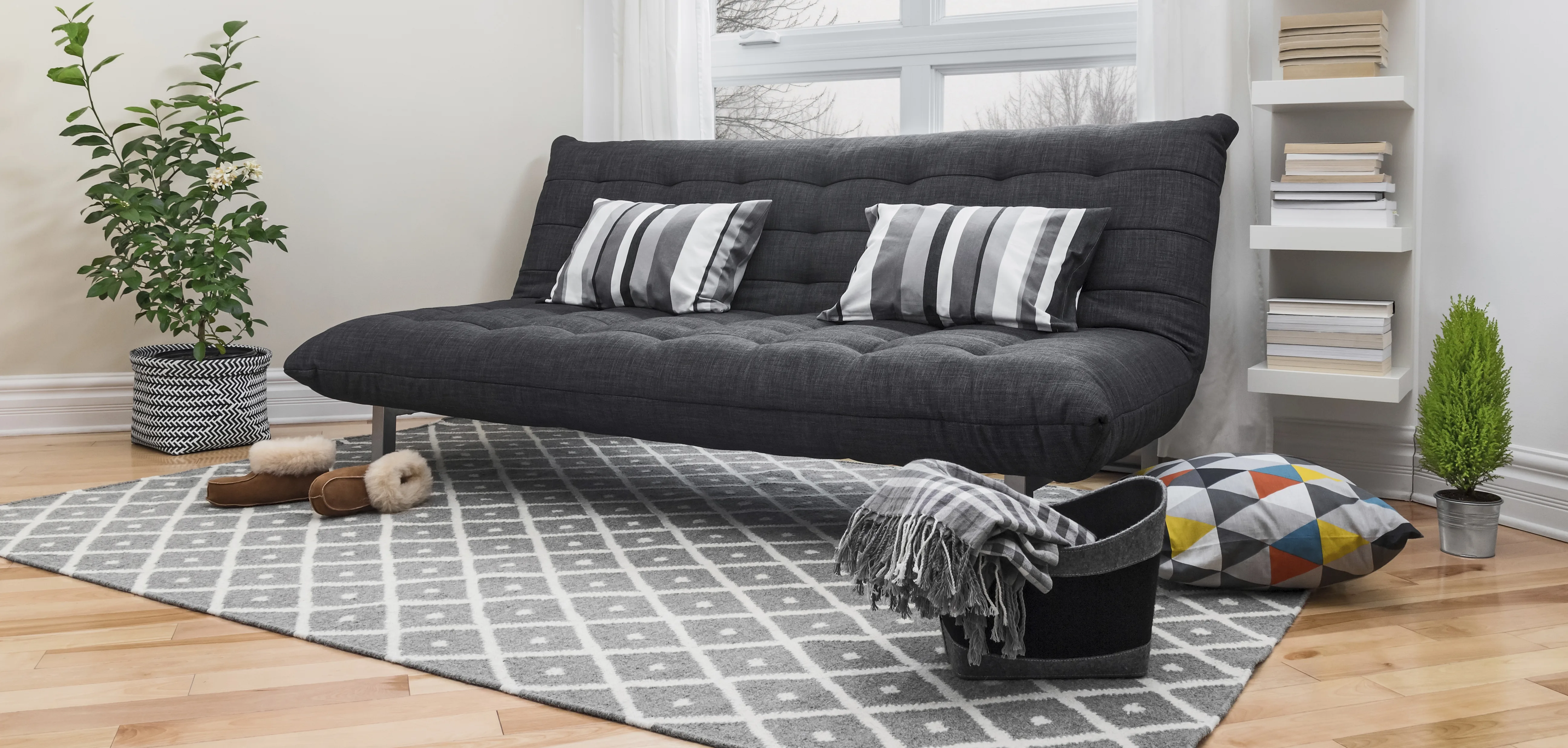 Living Room Rug